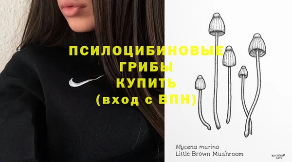 стафф Балахна