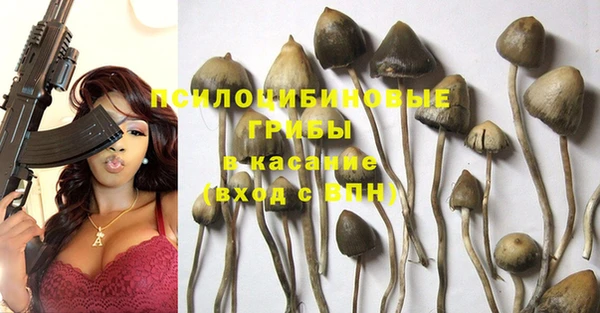 стафф Балахна