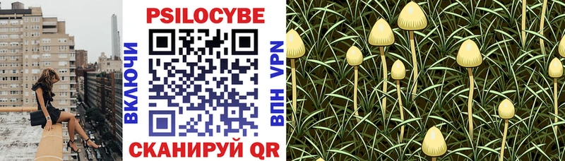 где купить наркотик  Урюпинск  Галлюциногенные грибы мухоморы 